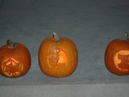 2011